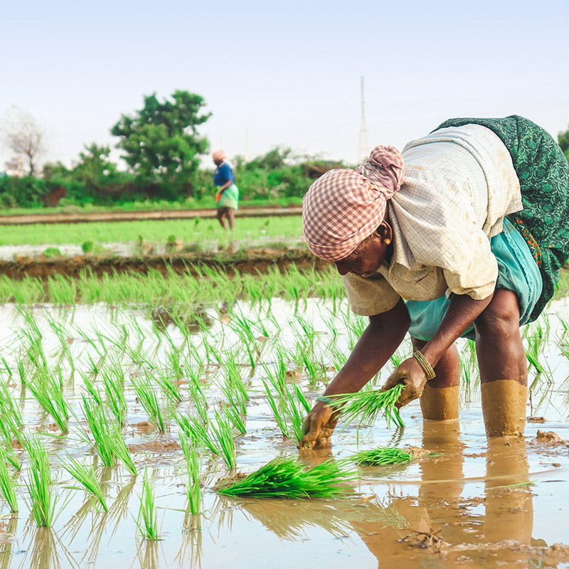 Agri-&-Allied-Activities-Loan-thumb